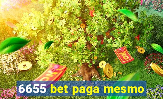 6655 bet paga mesmo